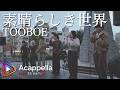 【素晴らしき世界 / TOOBOE】NOHOUSE(アカペラ)