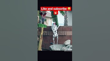 This is a Work of Art 🐶 #shorts #workofart #fyp #dalmatian #dog #puppy #trending #spots
