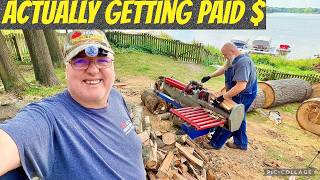The "King Of Firewood" oak tree removal job
