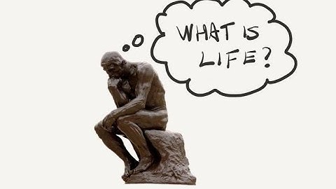 What is life? 😩 | Astr.io