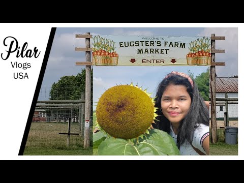 Craigslist Madison Wi Farm And Garden