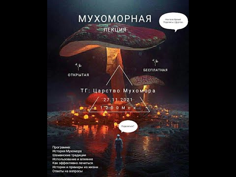 Лекция про Мухомор 27.11