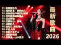 流行歌曲 無廣告 2026最新歌曲 2026好听的流行歌 華語流行串燒精選抒情歌 Top Chinese Songs 2026 可可托海的牧羊人 你的万水千山 红尘情歌 