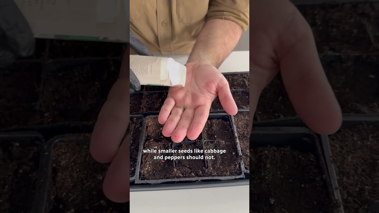 Tips For Seed Starting Indoors This Winter