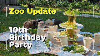 Zoo News Update | 10th Birthday & Projects - YouTube