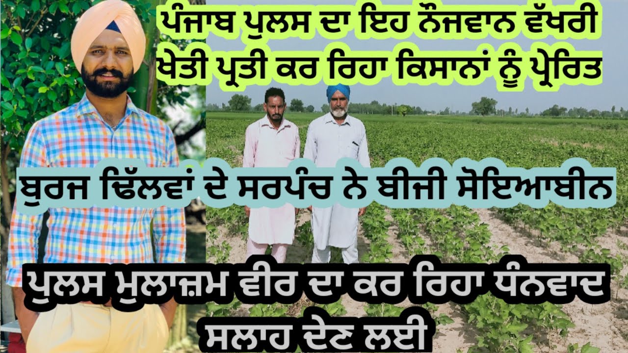 ਸੋਇਆਬੀਨ ਦੀ ਕੀਤੀ ਆ ਬਿਜਾਈ ਸਰਪੰਚ ਸਾਬ ਨੇ। ਪੁਲਸ ਮੁਲਾਜ਼ਮ ਨੇ ਦਿੱਤੀ ਸੀ ਸਲਾਹ। ਪੂਰਾ ਖੁਸ਼ ਆ ਵੀ ਕੁਝ ਨਵਾਂ ਕੀਤਾ