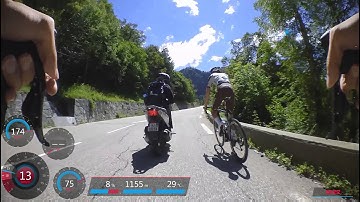 2015 TDF Alpe D