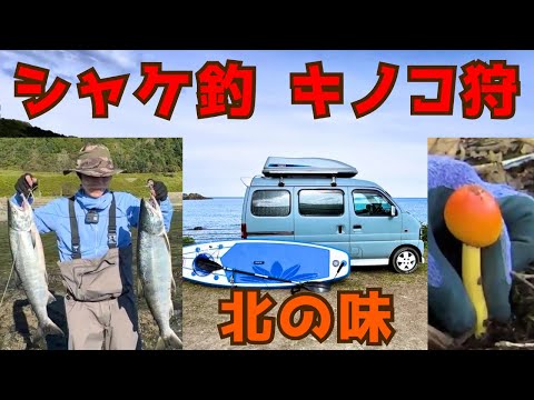 車中泊のタオル問題を解決。北海道で釣れたシャケと野生のキノコで秋の車中飯