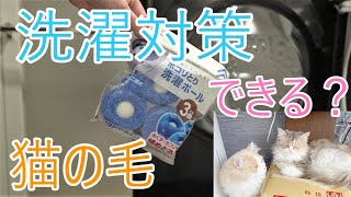 洗濯物につく猫の毛対策できる？ドラム式洗濯機【猫2匹サイベリアン多頭飼い】