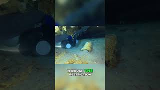 Cave Dive Challenge At Fluffy Bunny