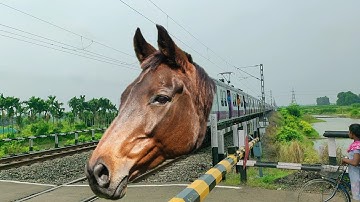 Fast & Furious MAD Horse Headed Howrah-Katwa Local Super Speedy Passing Through out Railgate
