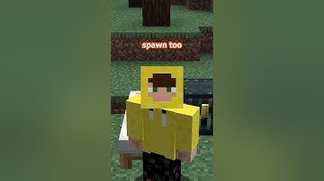 PLEASE sort your ender chest in minecraft!  #minecraft