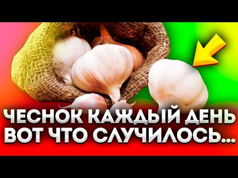 Вот что произошло со мной, когда я начал есть чеснок каждый день