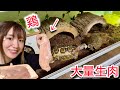 我が家の生き物たちに鶏肉を与えてみた結果…