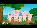 Pigs Finger Family Song | Nursery Rhyme For Kids