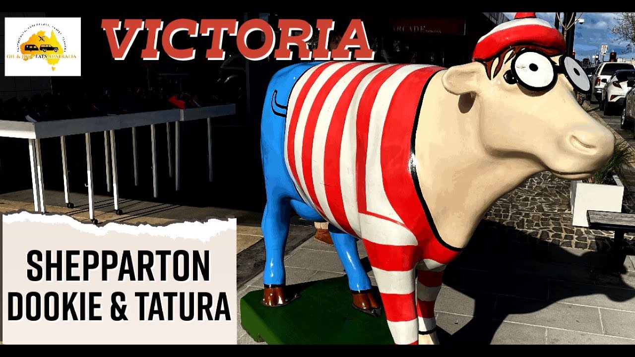 Victoria Unveiled Shepparton, Dookie & Tatura Moving Art Cows and