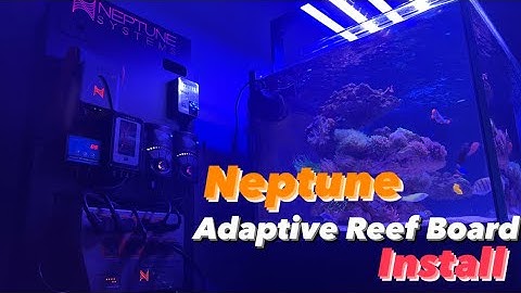 Ep.15 | Neptune Adaptive Reef Board install