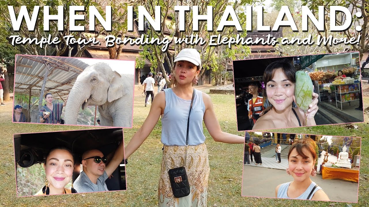 WHEN IN THAILAND: Temple Tour, Bonding with Elephants and More! | Jodi Sta Maria