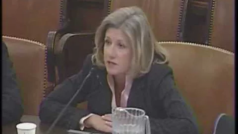 Ways and Means Hearing on Green Jobs Economy - Kar...