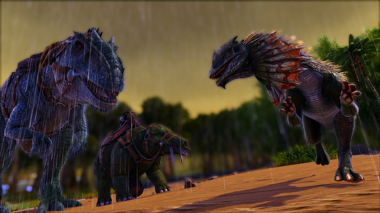 So bin ich zu ARK gekommen...