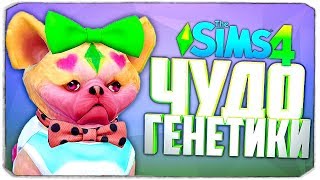 ЧУДО ГЕНЕТИКИ, СТРАШНО СМЕШНЫЕ СОБАКЕНЫ - The Sims 4 