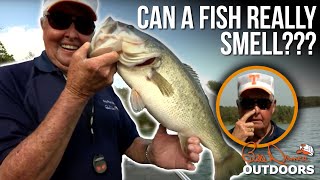 Can a fish really smell??? | Bill Dance Outdoors