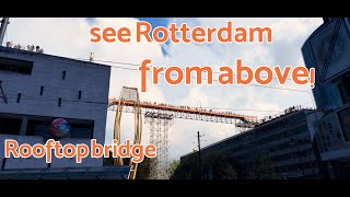 rooftop walk in Rotterdam