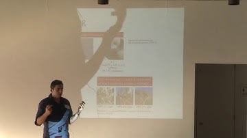 Safe Deep Learning: progress and open problems -  Martin Vechev