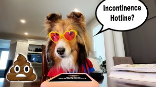 Oh no! The Incontinence Hotline?  Sub to these crazy pups e345