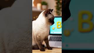 A cat making a tutorial for how to sing Alphabet song #toddlersongs #kids #cat #alphabet
