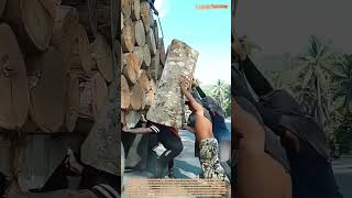 un travail d'équipe coordonné dans les opérations de transport de grumes lourdes