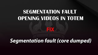 UBUNTU FIX: Segmentation fault (core dumped) when opening videos in totem