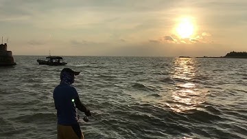 lure cá Song tại Hòn Dáu Hải Phòng