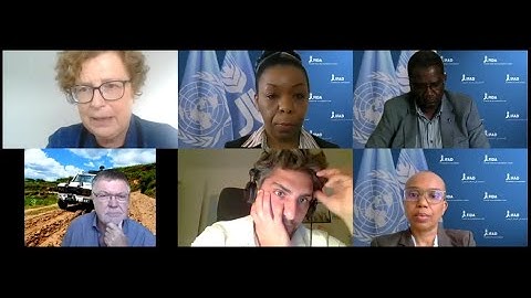 Learning event on the ESR on Infrastructure at IFAD   Panel 2