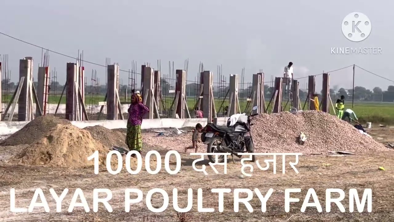 अण्डा फ़ार्म 10000 मुर्गी का egg poultry farm 10000 bard’s contraction
