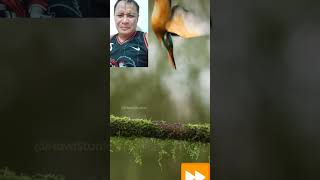 Diskarting ibon i♥️ it