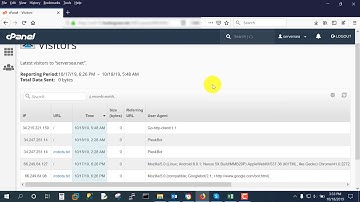 How to View Visitors Stats in cPanel