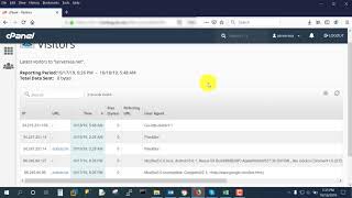 How to View Visitors Stats in cPanel
