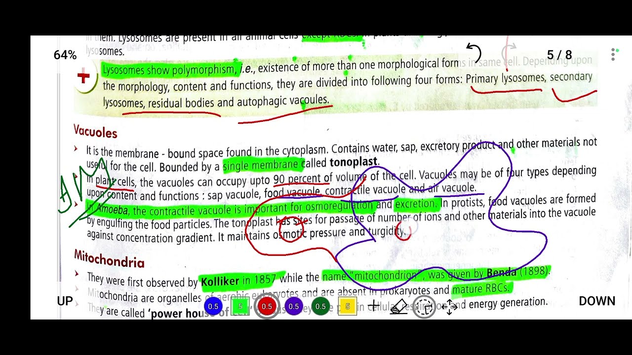 Vacuole: Types and Functions of Vacuole (Plant Central Vacuole)|Animal Vacuole