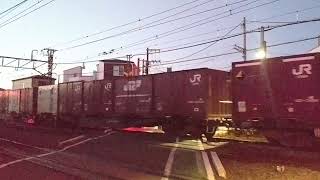 73レ EF210-104+コキ24B
