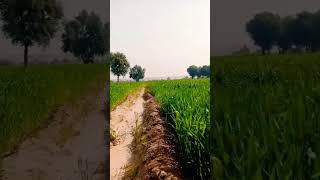 Aslam -Dec-2024  The Meaning , Is Used As A Not-Equals .Www.ultius.com