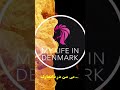 Welcome to my YouTube channels. Subscribe and watch the movies about Denmark 🇩🇰