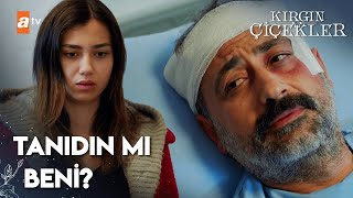 Meral, Salihe Şikayetini Geri Çekmesi Için Yalvarıyor Kırgın Çiçekler 37. Bölüm