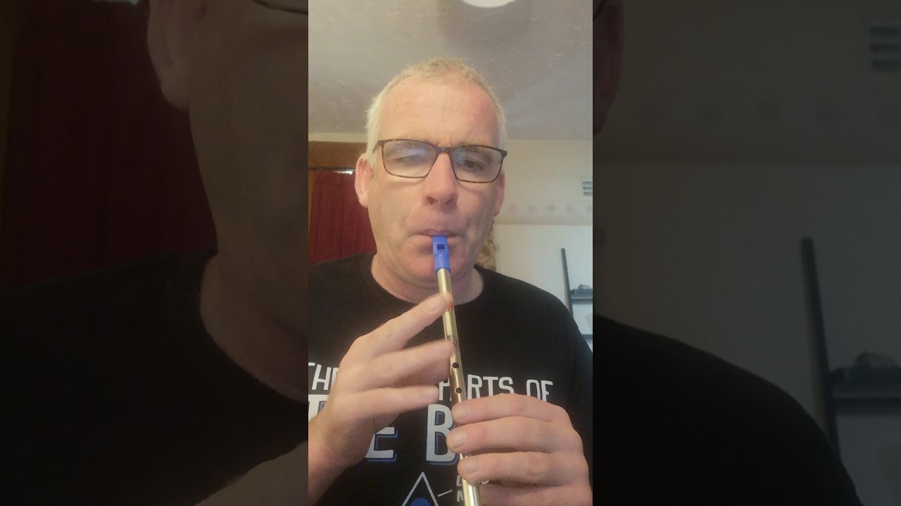 An tiocfaidh tú abhaile liom