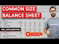 Common Size Balance Sheet - Formula, Calculations (Step by Step)