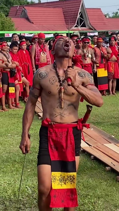 Dayak Kebal Senjata Tajam Perdalaman Kalimantan