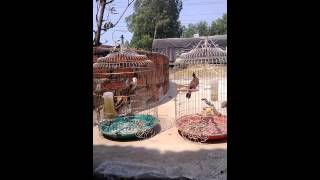 WP 20140208 002