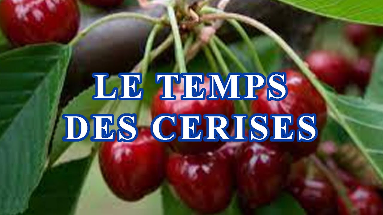 Sitemapcdatahttpsshopinf Inetcomshort Le Temps Des Cerises