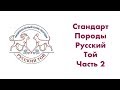 Стандарт Русского Тоя  Часть 2 (формат корпус)