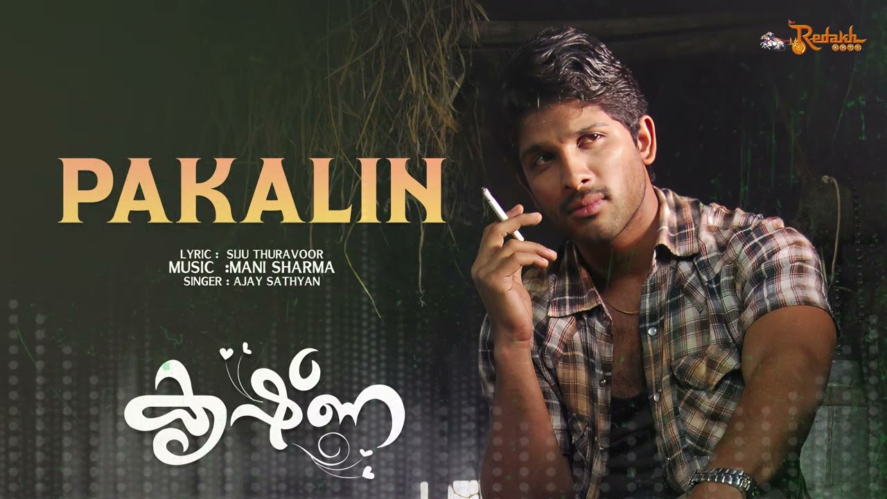 Pakalin Koodozhinju  Heart Broken Songs  Krishna Movie  Allu Arjun  Romantic Sad Playlist